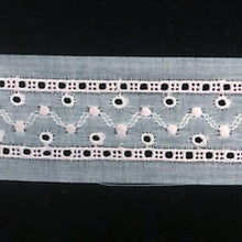 E-46 Blue, Pink and Appenzal - 22mm Embroidered Insertion - coloured.